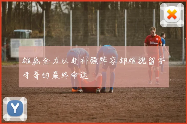 雄鹿全力以赴补强阵容却难挽留字母哥的最终命运