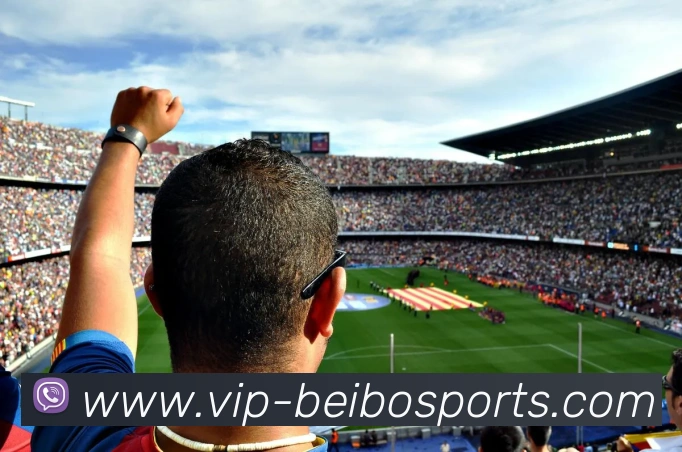 贝博体育APP 高清赛事图